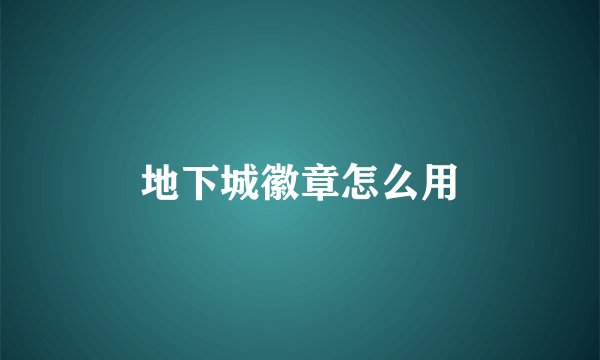 地下城徽章怎么用