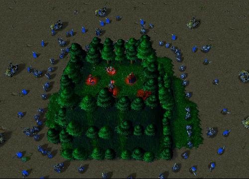 魔兽地图的历年热门