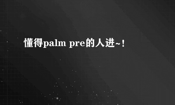 懂得palm pre的人进~！