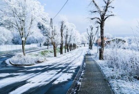 三九天怎么算？