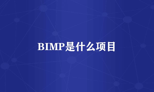 BIMP是什么项目