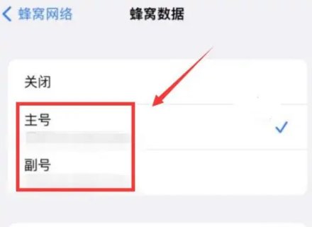 苹果手机数据网络怎么打开