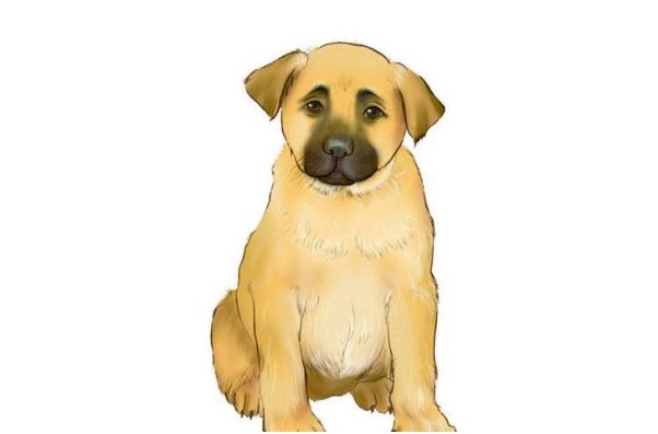 倚老卖老是什么动物