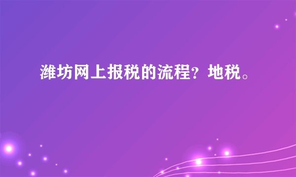 潍坊网上报税的流程？地税。