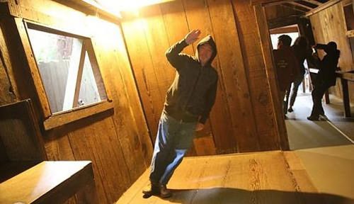 圣塔柯斯小镇的魔幻森林的介绍