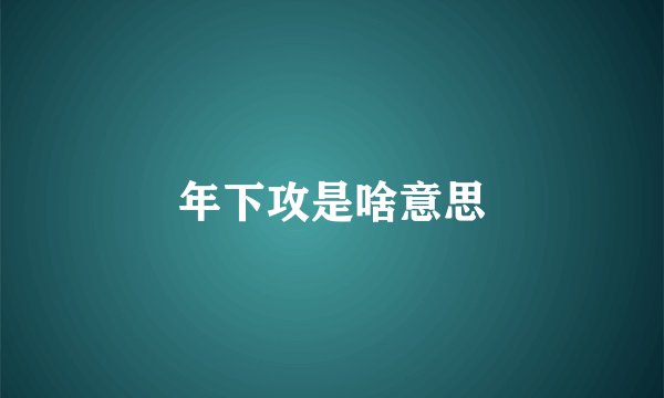 年下攻是啥意思