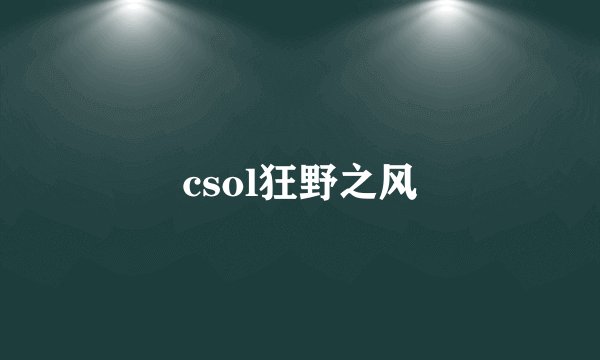 csol狂野之风