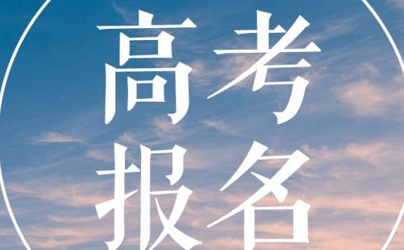 山东省教育招生考试院电话