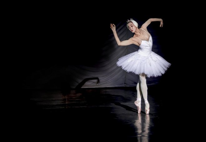 天鹅之死讲的是什么故事啊