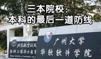 三本是什么意思