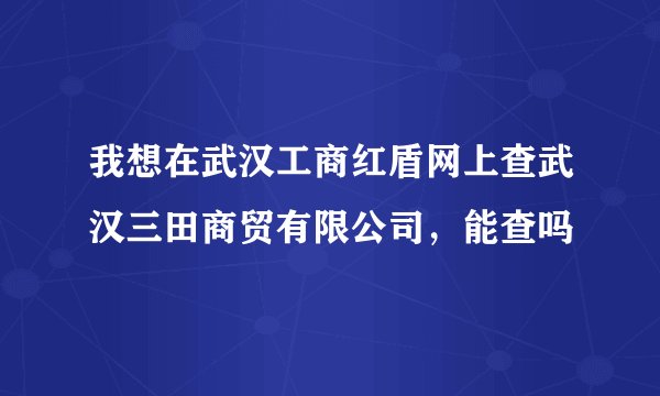 我想在武汉工商红盾网上查武汉三田商贸有限公司，能查吗