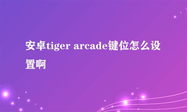 安卓tiger arcade键位怎么设置啊