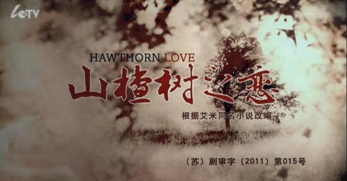 小莉影像馆的首页