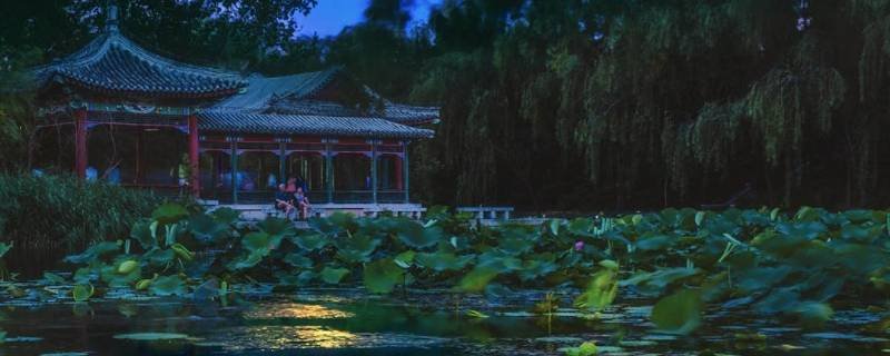 荷塘月色指的是哪里