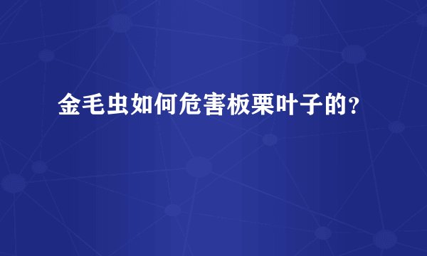金毛虫如何危害板栗叶子的？