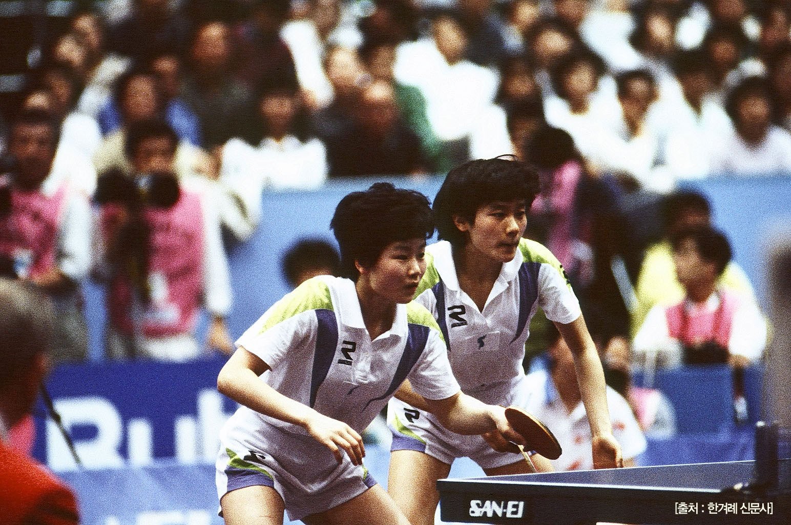 朝韩梦之队的介绍