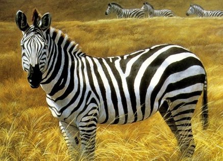 斑马的身上为什么有一条条的斑纹？它的作用是什么？