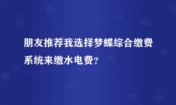朋友推荐我选择梦蝶综合缴费系统来缴水电费？