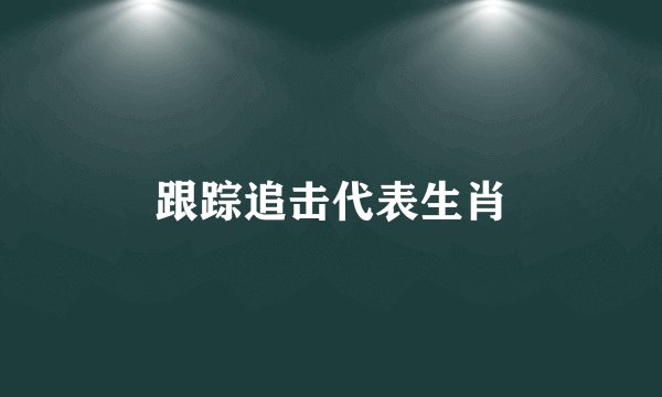 跟踪追击代表生肖