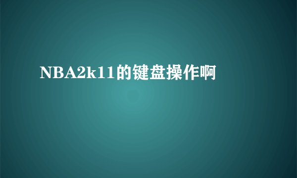 NBA2k11的键盘操作啊