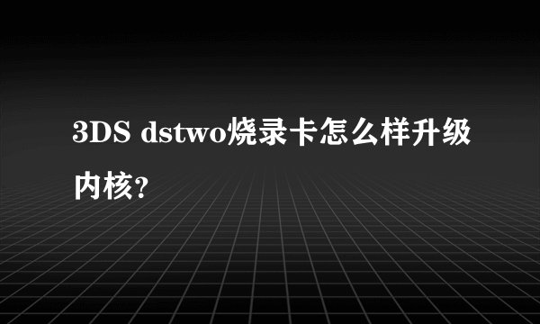 3DS dstwo烧录卡怎么样升级内核？