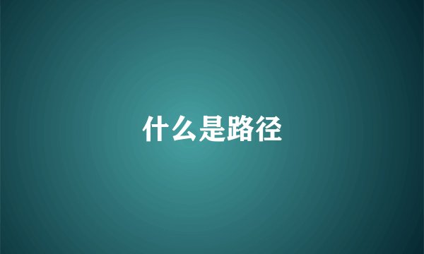 什么是路径
