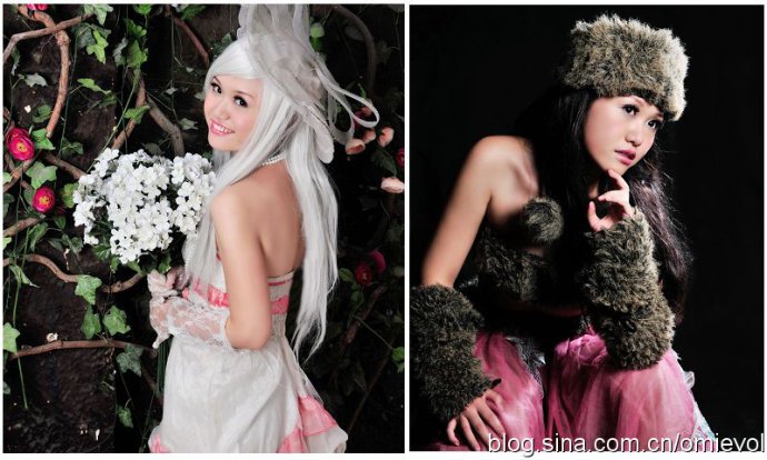 白色女王的介绍