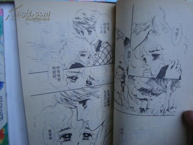 淑女之梦的作品信息