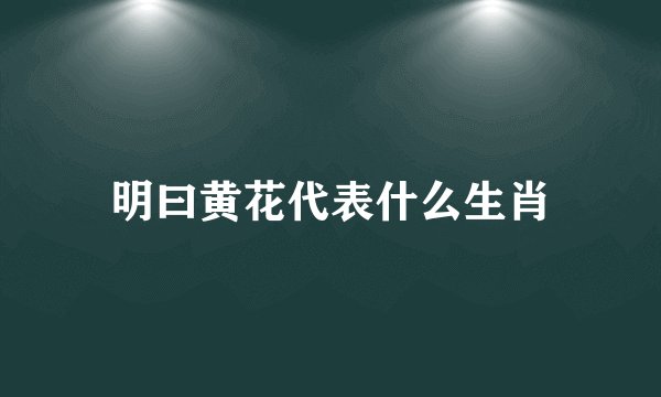 明曰黄花代表什么生肖
