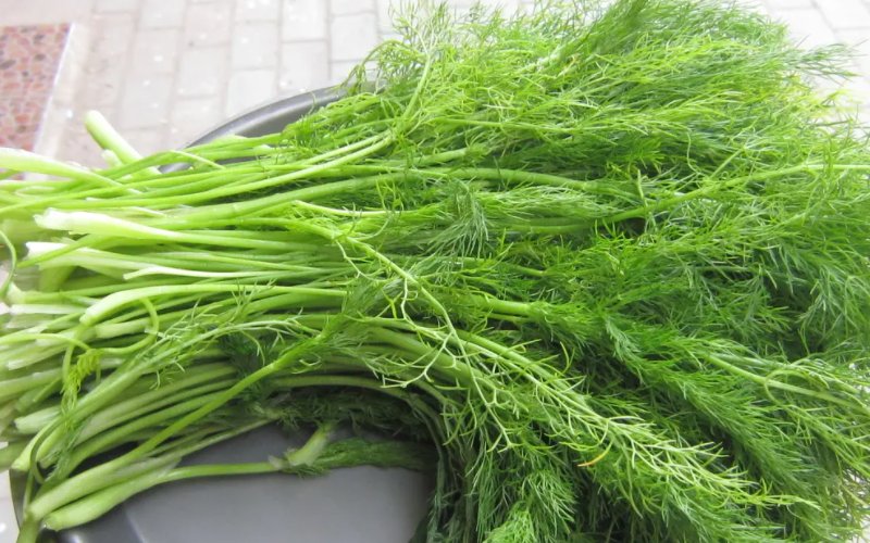 食物不咸不代表没盐蚂蚁庄园