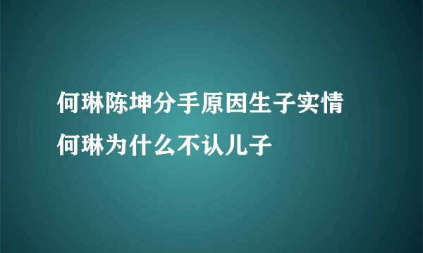 何琳陈坤分手原因生子实情 何琳为什么不认儿子