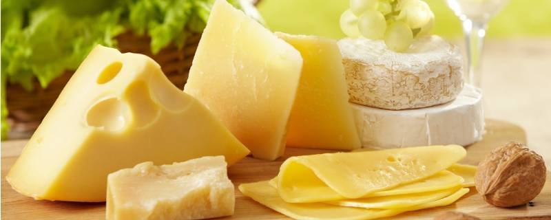 乳酪是什么