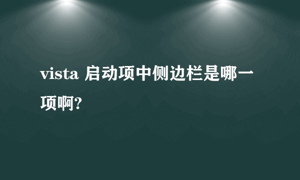vista 启动项中侧边栏是哪一项啊?