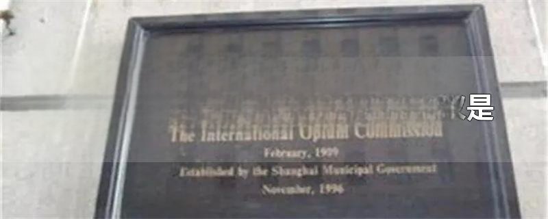 国际禁毒会议第一个国际禁毒会议是