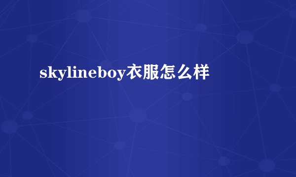 skylineboy衣服怎么样
