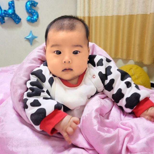 谢孟伟演过哪些电视剧?