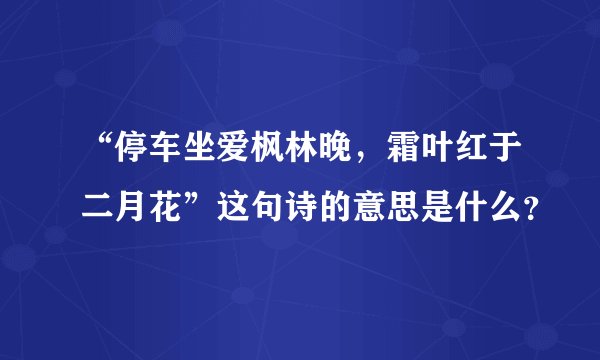 “停车坐爱枫林晚，霜叶红于二月花”这句诗的意思是什么？