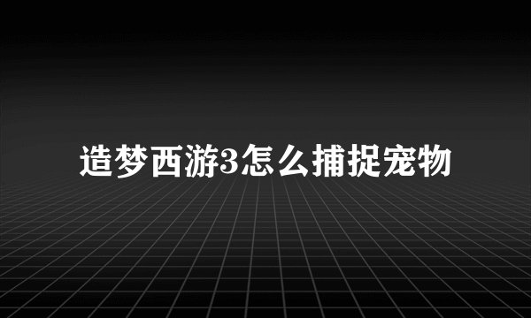 造梦西游3怎么捕捉宠物