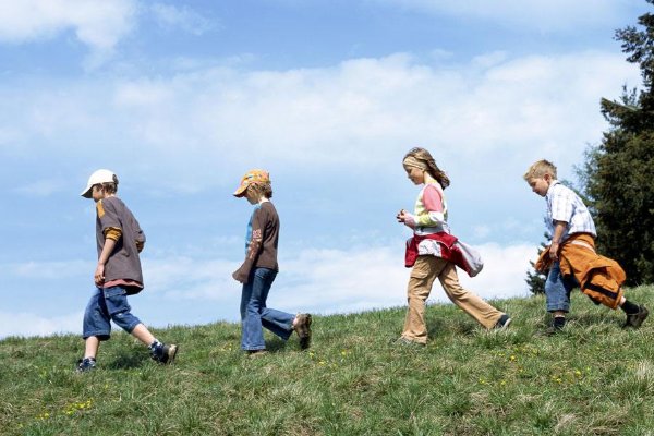 3岁男童智商远超同龄人!为何他母亲说他是“典型3岁小孩”?