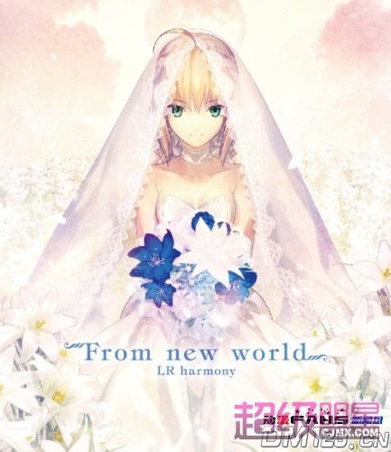 TYPE-MOON Fes.的声优