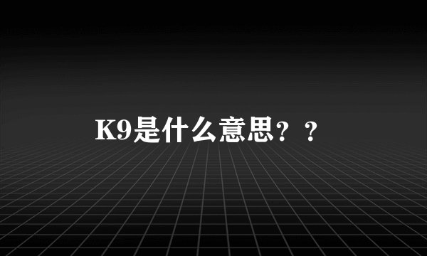 K9是什么意思？？