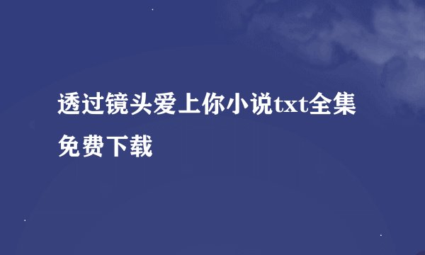 透过镜头爱上你小说txt全集免费下载