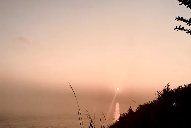 落字造句二年级上册