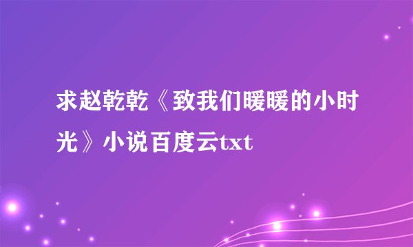 求赵乾乾《致我们暖暖的小时光》小说百度云txt