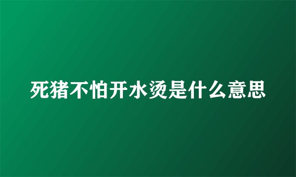 死猪不怕开水烫是什么意思