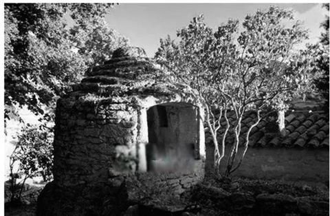 蒸刑是什么意思 蒸人刑法为什么会吐