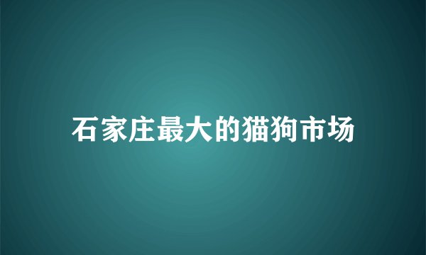 石家庄最大的猫狗市场