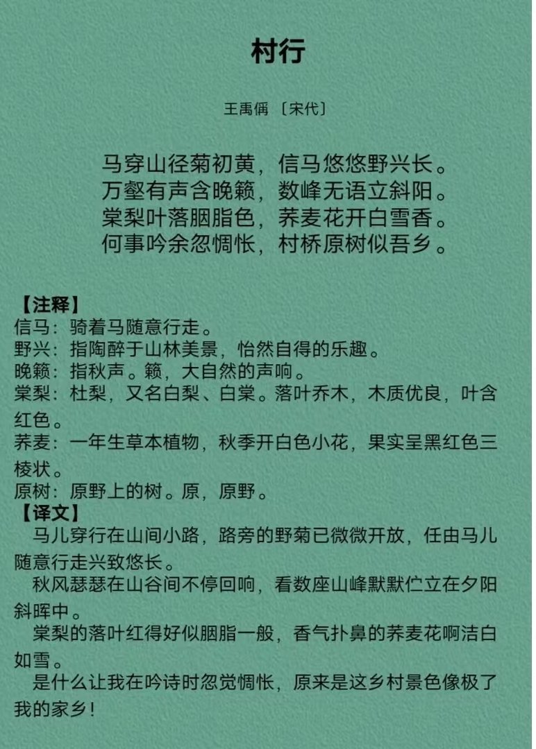 荞麦花开白雪香上一句