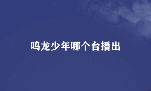 鸣龙少年哪个台播出