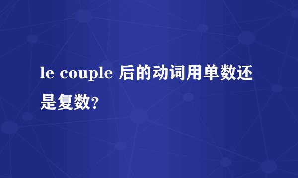 le couple 后的动词用单数还是复数？